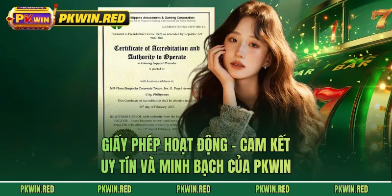 Giấy Phép Hoạt Động - Cam Kết Uy Tín Và Minh Bạch Của PKWIN